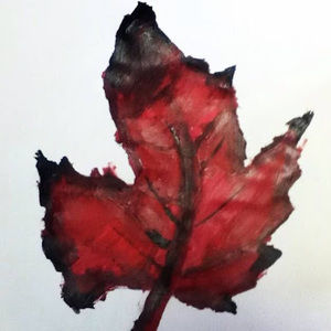 Meet your Posher, Zach